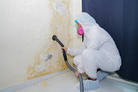 Best Forensic Mold Investigation  in Philomath, OR